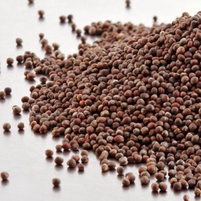 rdklsfr - kologiske spirefr 