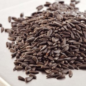 solsikkefr - kologiske spirefr 