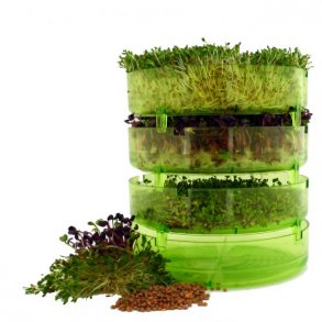 geo sprouter - spirebeholder