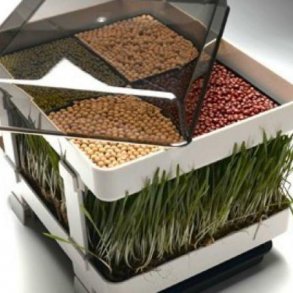 lexen healthy sprouter - spirebakke