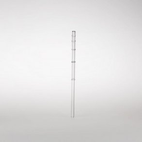 natures design - calamus sugerr